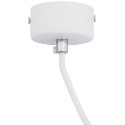 Kattokruunu johdossa KARADON 1xGU10/30W/230V 17 cm valkoinen
