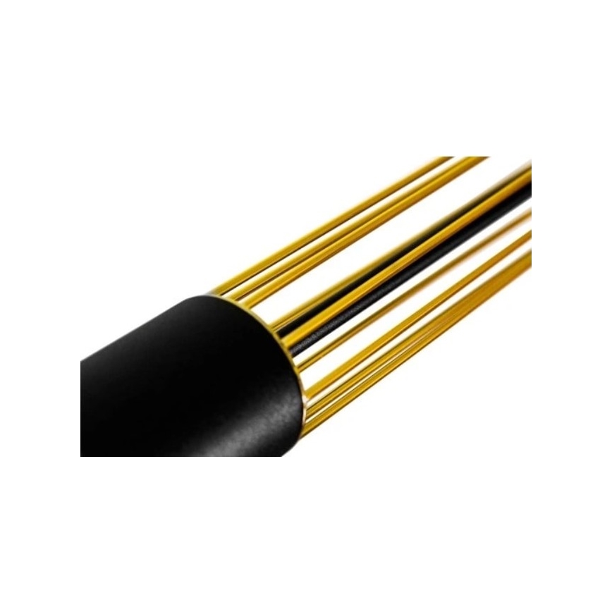 Kattokruunu johdossa PRESCOT 2xGU10/40W/230V kultainen