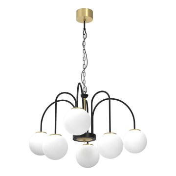 Kattokruunu ketjussa CAMBRIDGE 6xE14/60W/230V musta/messinki