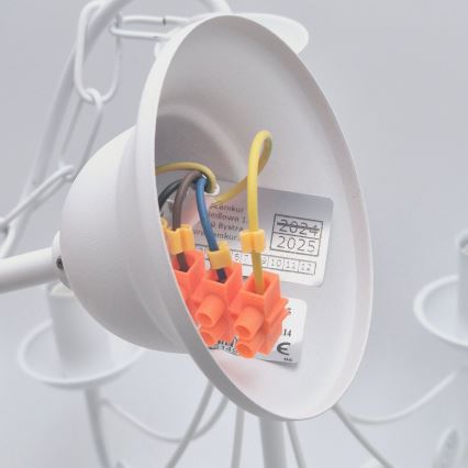 Kattokruunu ketjussa DONATO 6xE14/40W/230V valkoinen