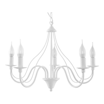 Kattokruunu ketjussa MINERWA 5 5xE14/40W/230V valkoinen