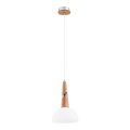 Kattokruunu narulla ATOL 1xE27/60W/230V