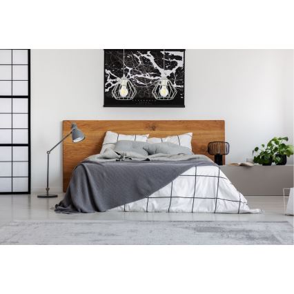 Kattokruunu narulla CEED 2xE27/60W/230V