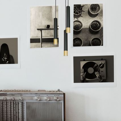 Kattokruunu narussa NEST 3xGU10 / 8W / 230V musta / kultainen pyöreä