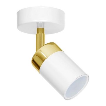 Kattospotti JOKER 1xGU10/25W/230V valkoinen/kultainen