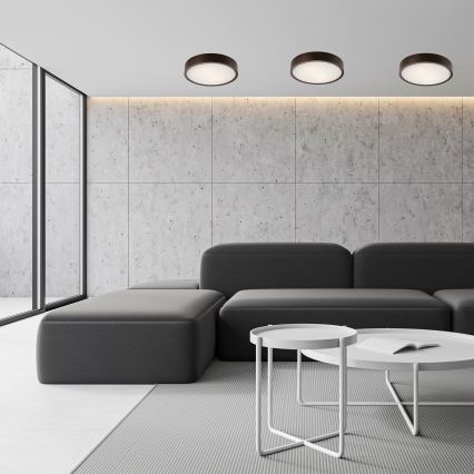 Kattovalaisin 2xE27/60W/230V mänty