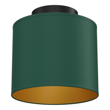 Kattovalaisin ARDEN 1xE27/15W/230V halkaisija 18 cm vihreä