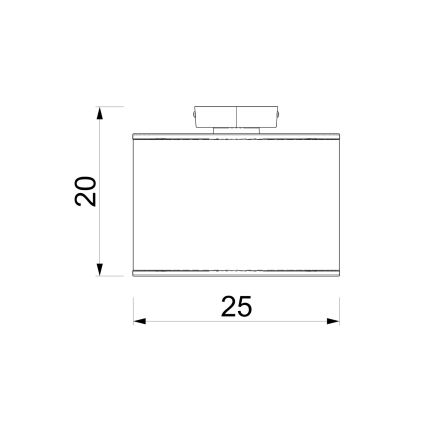 Kattovalaisin ARDEN 1xE27/15W/230V Ø 25 cm valkoinen