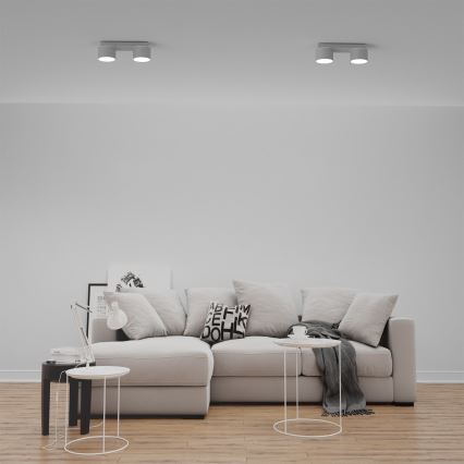 Kattovalaisin DIXIE 2xGX53/11W/230V valkoinen