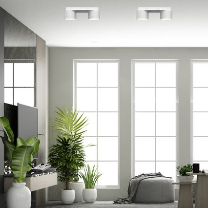 Kattovalaisin DIXIE 2xGX53/11W/230V valkoinen