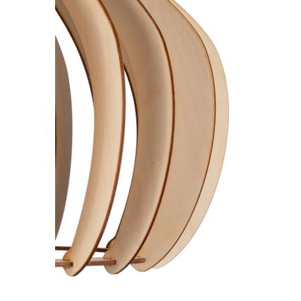 Kattovalaisin johdossa WILL 1xE27/60W/230V black