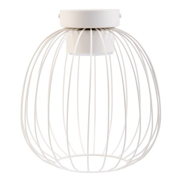 Kattovalaisin OVELLA 1xGX53/10W/230V, halkaisija 25 cm, kerma