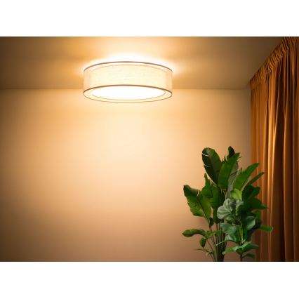 Kattovalaisin PURO 2xE27/40W/230V, halkaisija 50 cm, beige