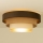 Kattovalaisin WENTA 1xE27/60W/230V halkaisija 50 cm ruskea/juutti/beige