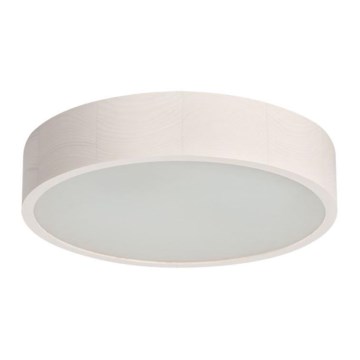 Kattovalo 2xE27/20W/230V