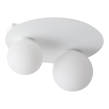 Kattovalo ARGON 2xG9/12W/230V valkoinen