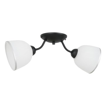 Kattovalo AVIA 2xE27/60W/230V