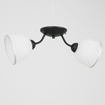 Kattovalo AVIA 2xE27/60W/230V