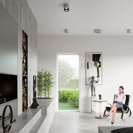 Kattovalo BASIC AR111 2xGU10/40W/230V betoni