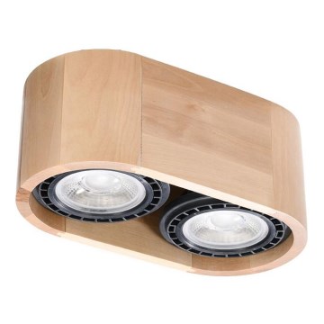 Kattovalo BASIC AR111 2xGU10/40W/230V pyökki