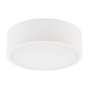 Kattovalo DANTE 1xE27/60W/230V halkaisija 26 cm valkoinen