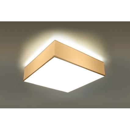 Kattovalo HORUS 35 2xE27/60W/230V valkoinen