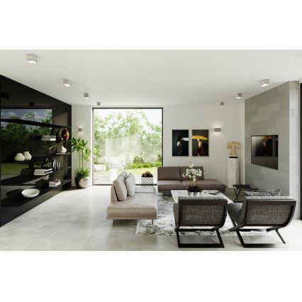 Kattovalo LOBO 2xGU10/40W/230V harmaa