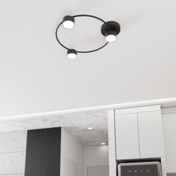 Kattovalo LUCIO 3xGX53/12W/230V musta