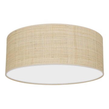 Kattovalo MARSHALL 2xE27/60W/230V