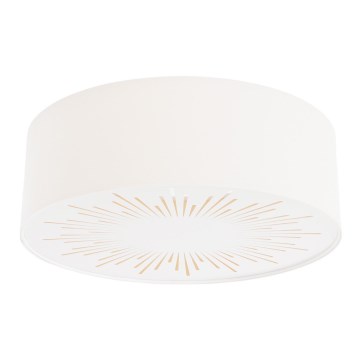 Kattovalo RAYS 2xE27/60W/230V halkaisija 60 cm kerma