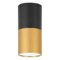 Kattovalo TUBA 1xGU10/15W/230V