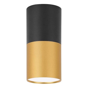 Kattovalo TUBA 1xGU10/15W/230V