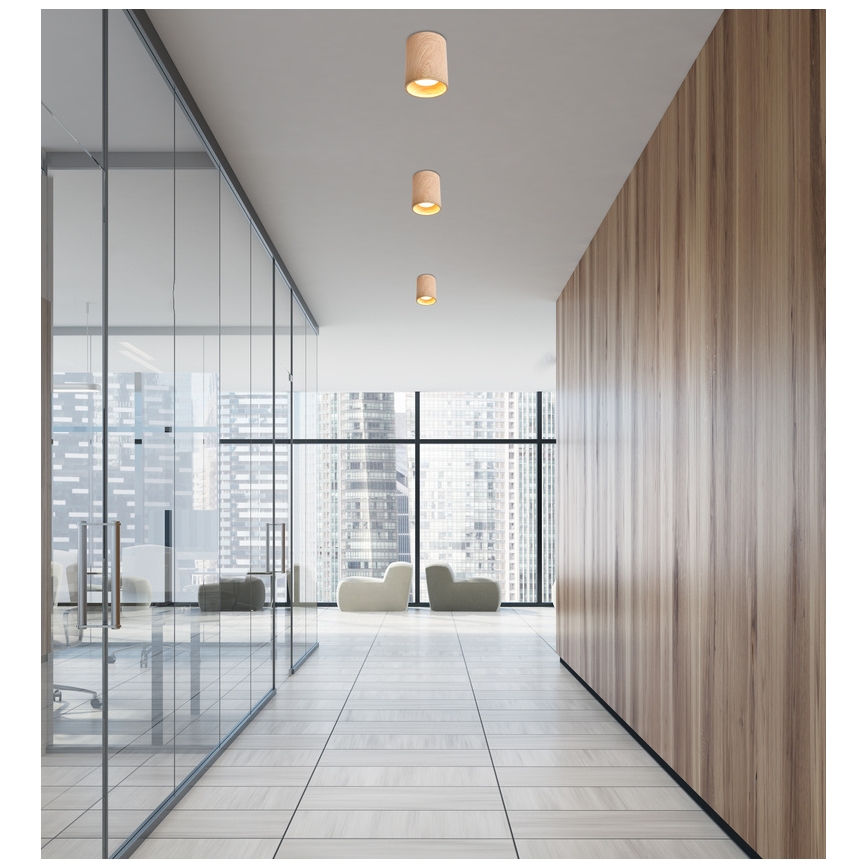 Kattovalo TUBA GU10/15W/230V