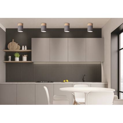 Kattovalo TUBA GU10/15W/230V