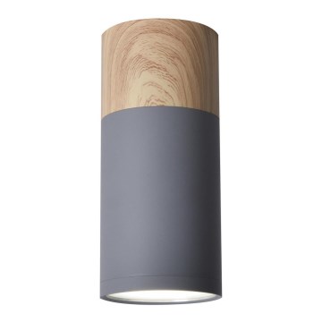 Kattovalo TUBA GU10/15W/230V