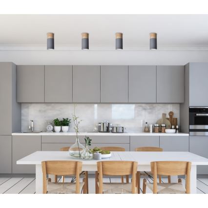 Kattovalo TUBA GU10/15W/230V