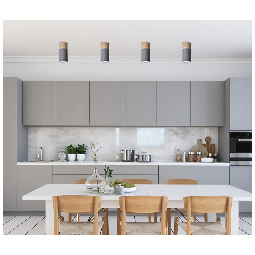 Kattovalo TUBA GU10/15W/230V