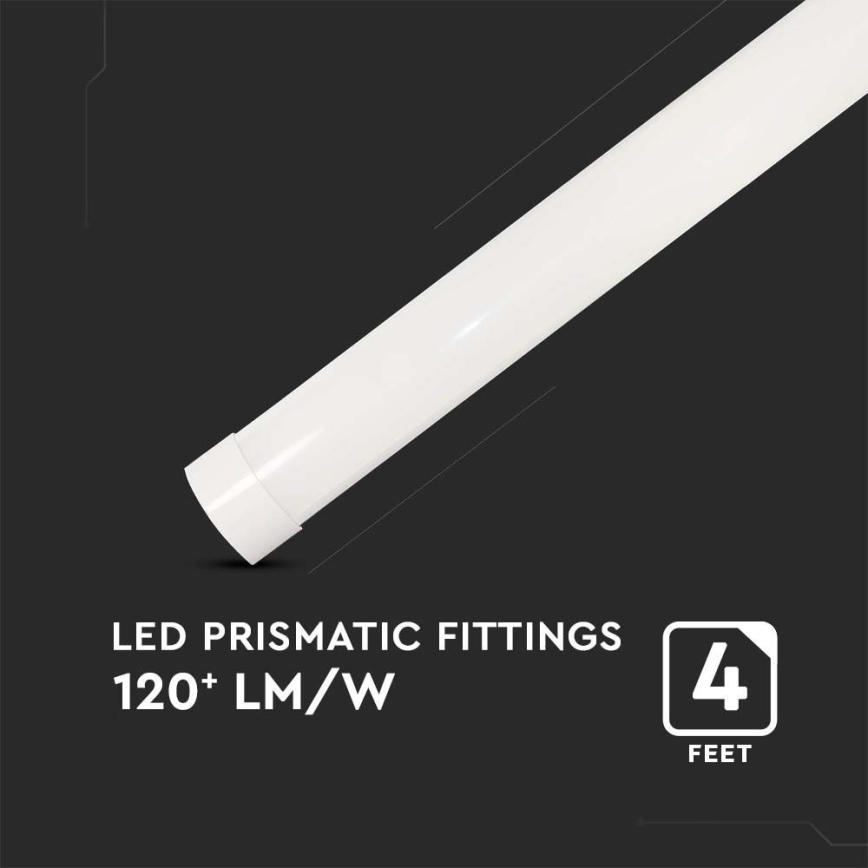 Keittiökaappien alla oleva LED-valo LED/40W/230V 4000K 116 cm