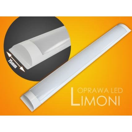 Keittiökaappien alla oleva LED-valo LIMONI LED/40W/230V 3000K 120 cm