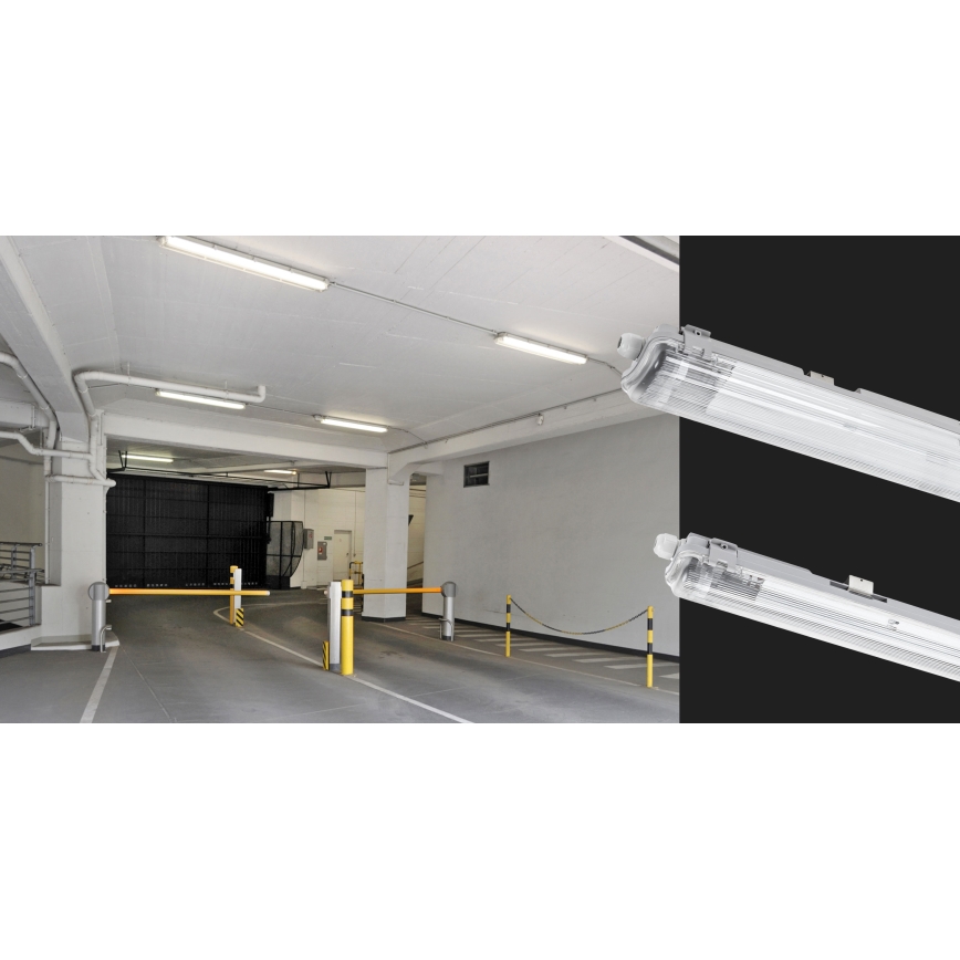 Kestävä loistelamppu LIMEA T8 1xG13/20W/230V IP65 120cm