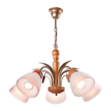 Ketjulla varustettu kattokruunu TULIPAN 5xE27/60W/230V pyökki