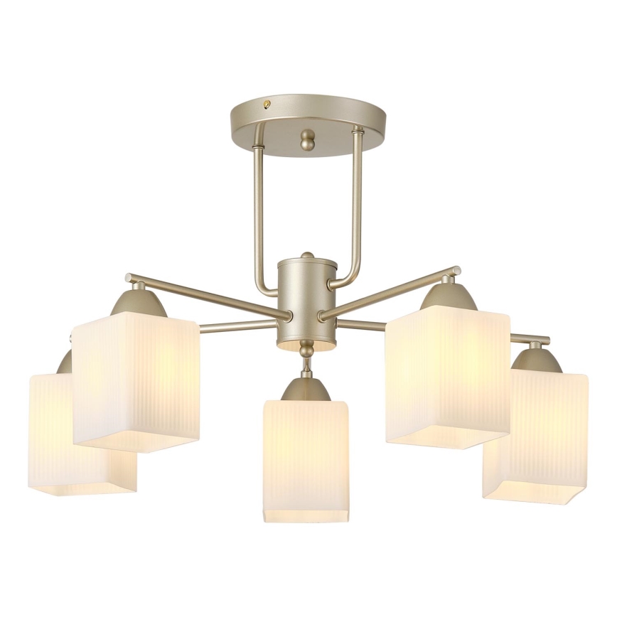 Kiinteä kattokruunu 5xE27/60W/230V