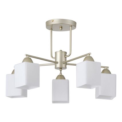 Kiinteä kattokruunu 5xE27/60W/230V