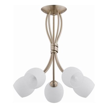 Kiinteä kattokruunu BUENA 5xE14/10W/230V kulta