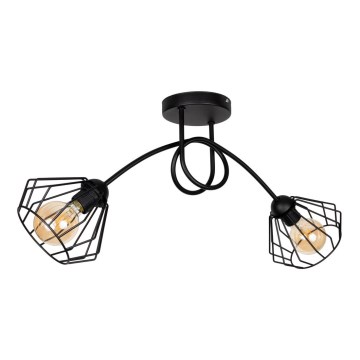 Kiinteä kattokruunu CEED 2xE27/60W/230V