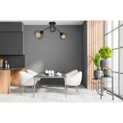 Kiinteä kattokruunu CEED 2xE27/60W/230V