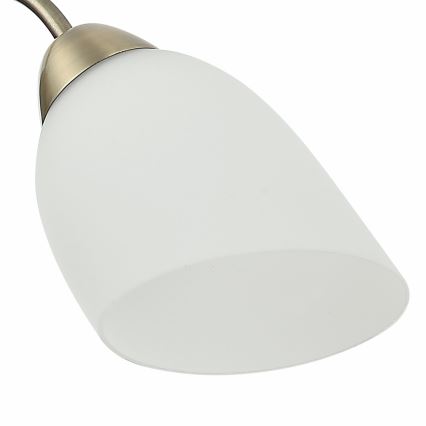 Kiinteä kattokruunu DONNA 5xE27/60W/230V patina