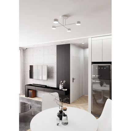 Kiinteä kattokruunu HALO 4xGX53/10W/230V valkoinen