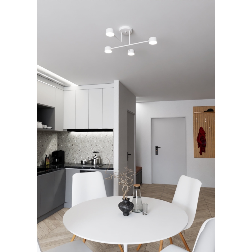 Kiinteä kattokruunu HALO 4xGX53/10W/230V valkoinen