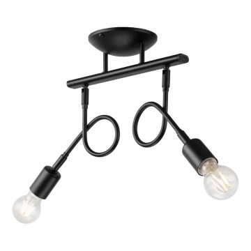 Kiinteä kattokruunu HARRY 2xE27/60W/230V